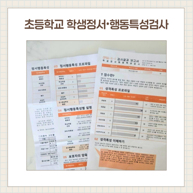  초등학교 학생정서·행동특성검사 후기 , 검사 방법부터 결과 해석까지