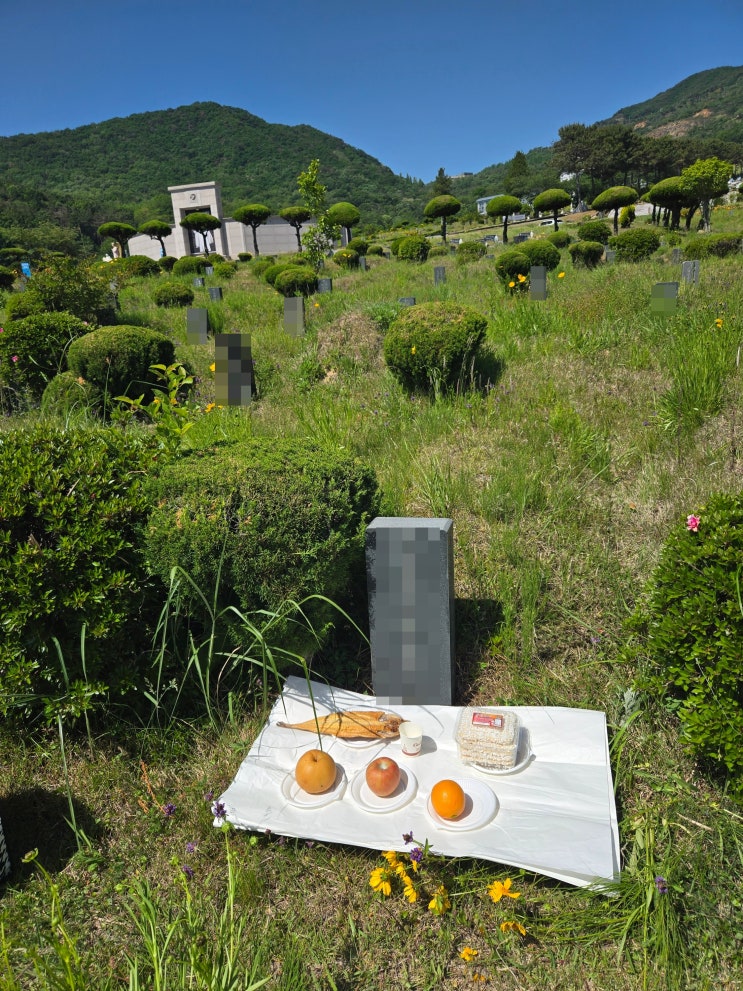  진주 사천 개장 후 진주시안락공원 추모당까지