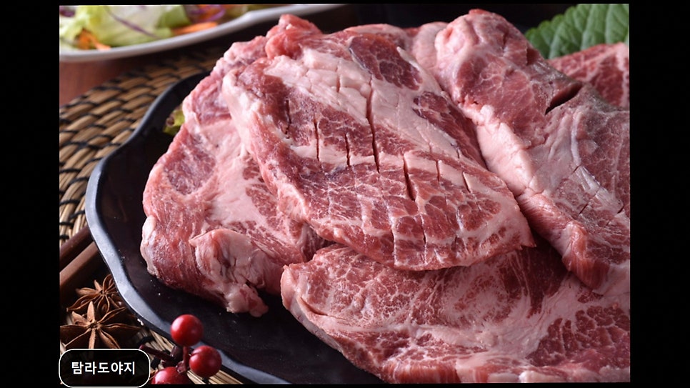 탐라도야지 사진 5