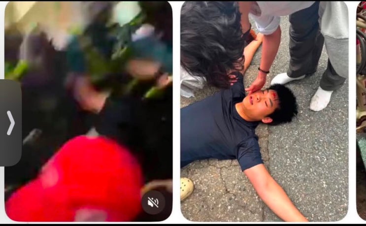  우성아파트 잠실시위 1000명  경찰 투입 시민들 강제 진입 후 선관위 들어감  ㅣ 투표함 막던 21세 청년 코마 ?