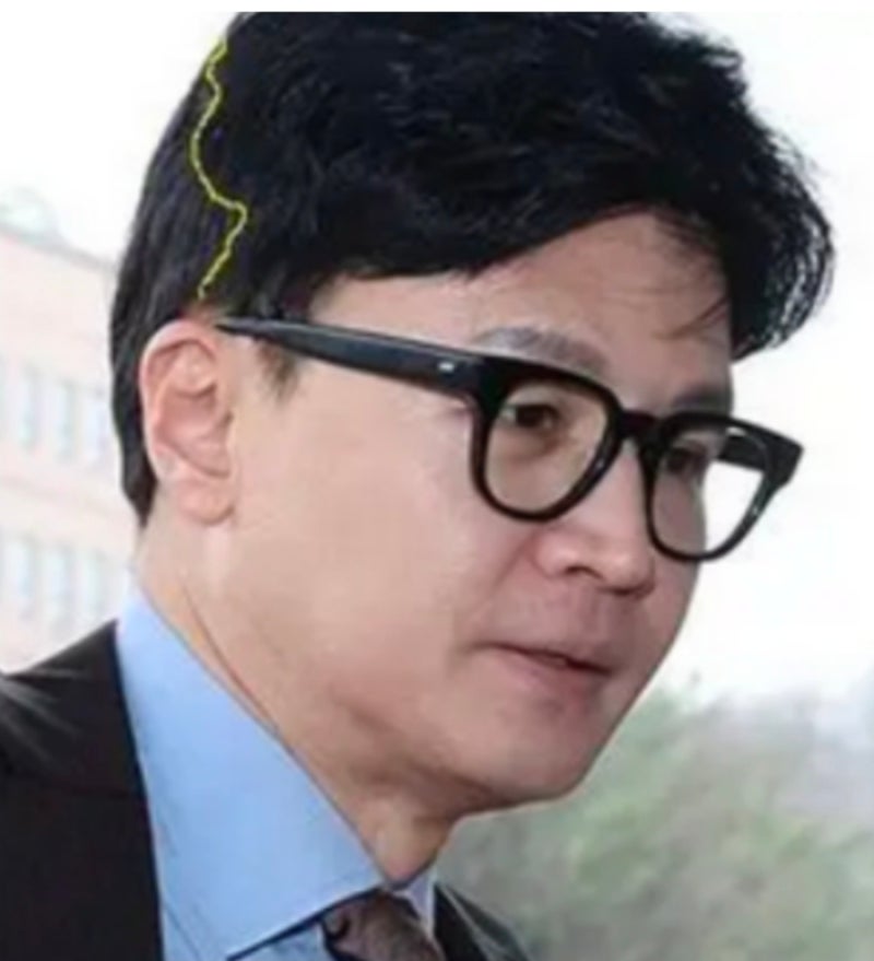 한동훈 가발인가 논란 머리숱 헤어스타일 프로필 총정리