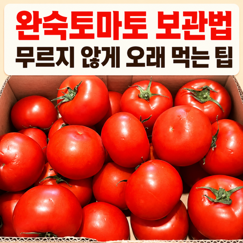완숙토마토 오래 보관법, 냉장 냉동 보관법 세척법까지