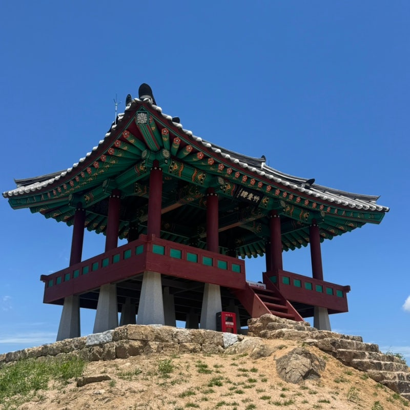 대전 보문산 보문산성 등산후기/ 초보자도 가능한 보문산등산코스/ 반려견과 함께 다녀온 보....