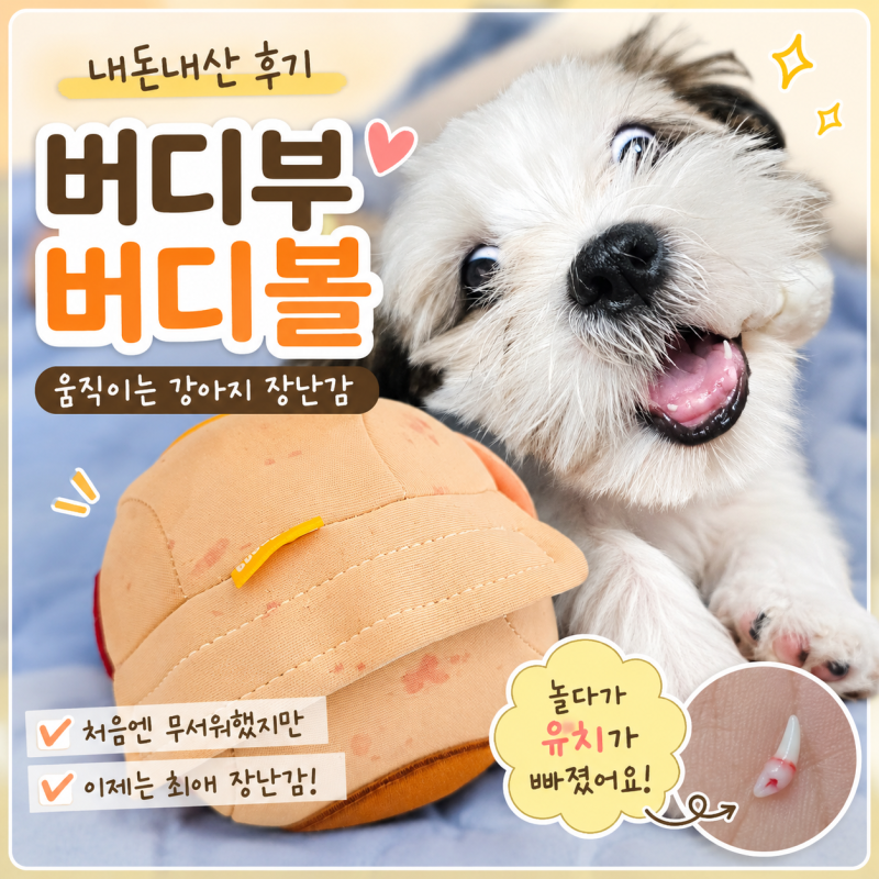 강아지 움직이는 장난감 추천｜버디부 버디볼로 놀다가 유치까지 빠진 나나