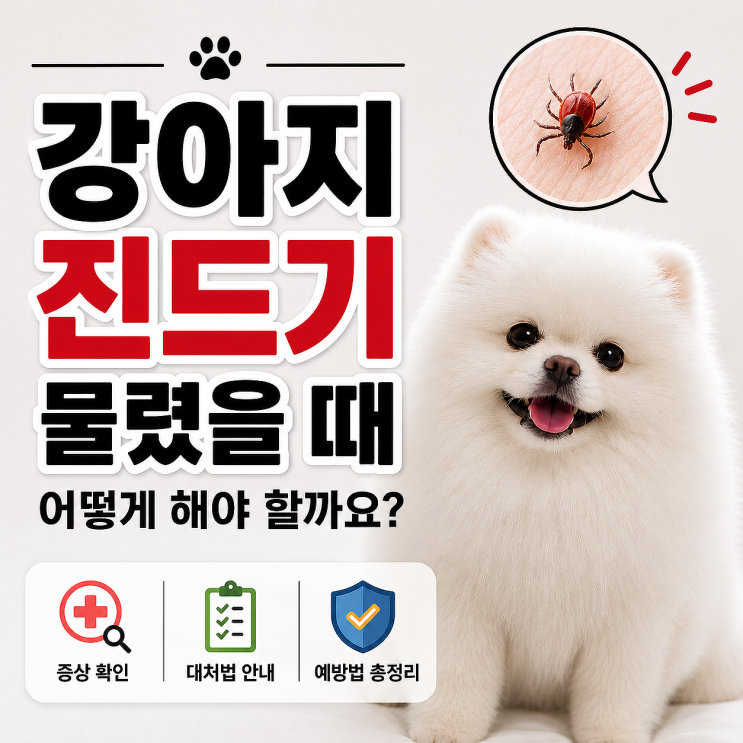  강아지 진드기 물렸을 때 어떻게 해야 할까요? 증상·대처법·예방법 총정리