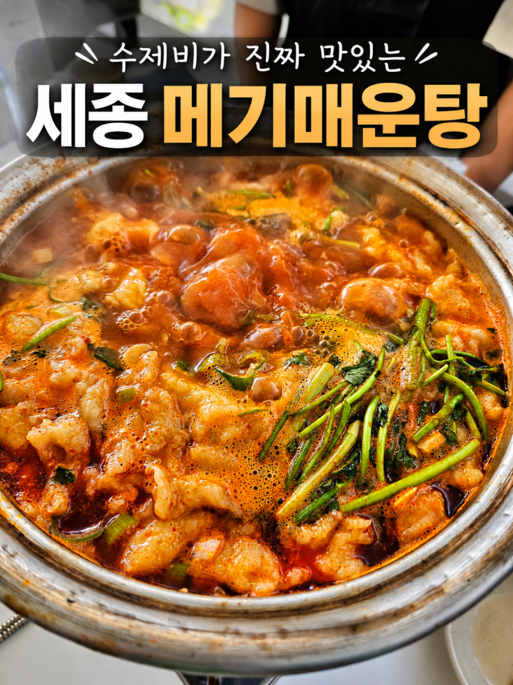  세종 매운탕 맛집 용뎅이매운탕, 비 오는 날 생각나는 메기매운탕 수제비 후기
