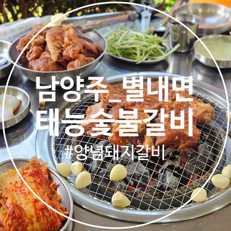 [남양주] 별내면 '태능숯불갈비' 본점 :: 야외에서 고기를 구워 먹는 낭만이 있는 남양주 양념....