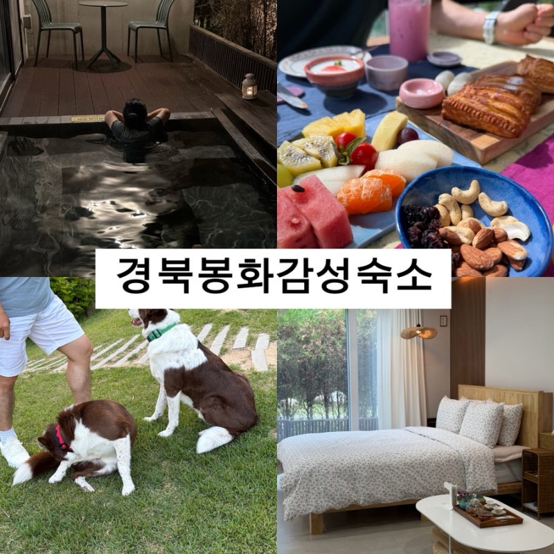 경북 봉화 여행 백두대간수목원 근처 감성숙소 펜션 대정연가 적극추천