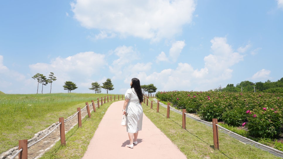 Uiseongjomungukbakmulgwan Gobunjeonsigwan photo 5