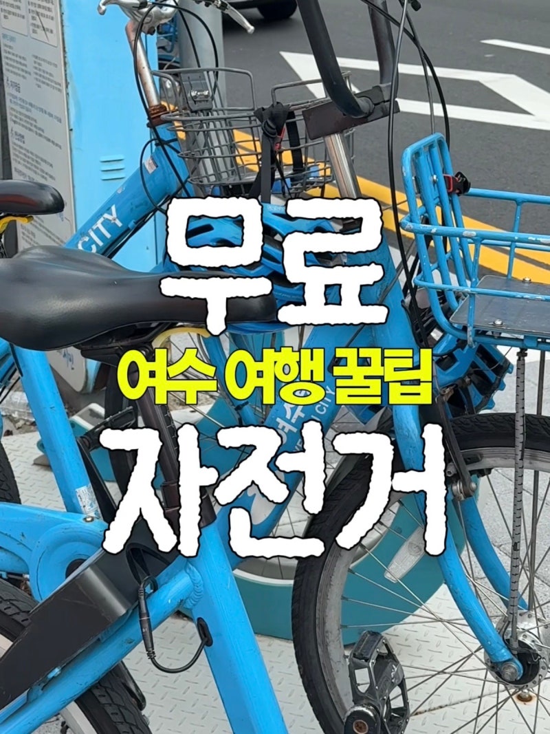 여수 뚜벅이 여행 꿀팁 I 공영자전거 여수랑 무료 이용 후기 (대여/반납 방법)