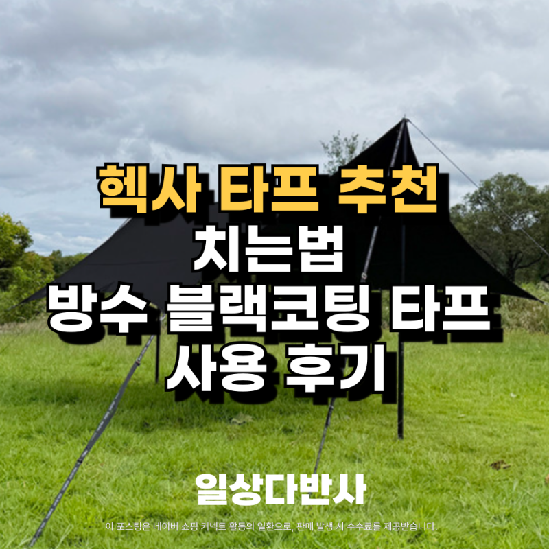 헥사 타프 추천 치는법 방수 블랙코팅 홀리데이타프 사용 후기