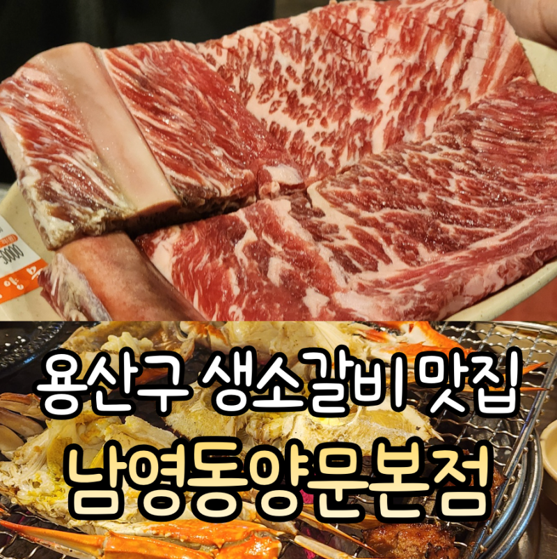 [숙대입구역] 남영동양문본점 방문 후기, 생소갈비맛집 찾는다면 좋을 용산고기집