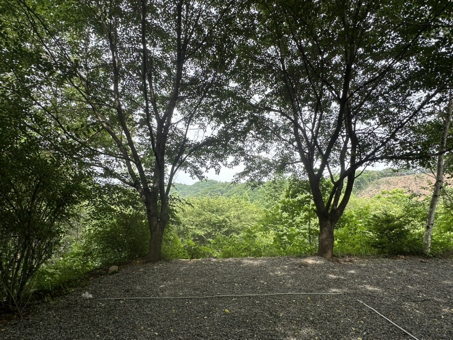 산으로캠핑장 사진 3