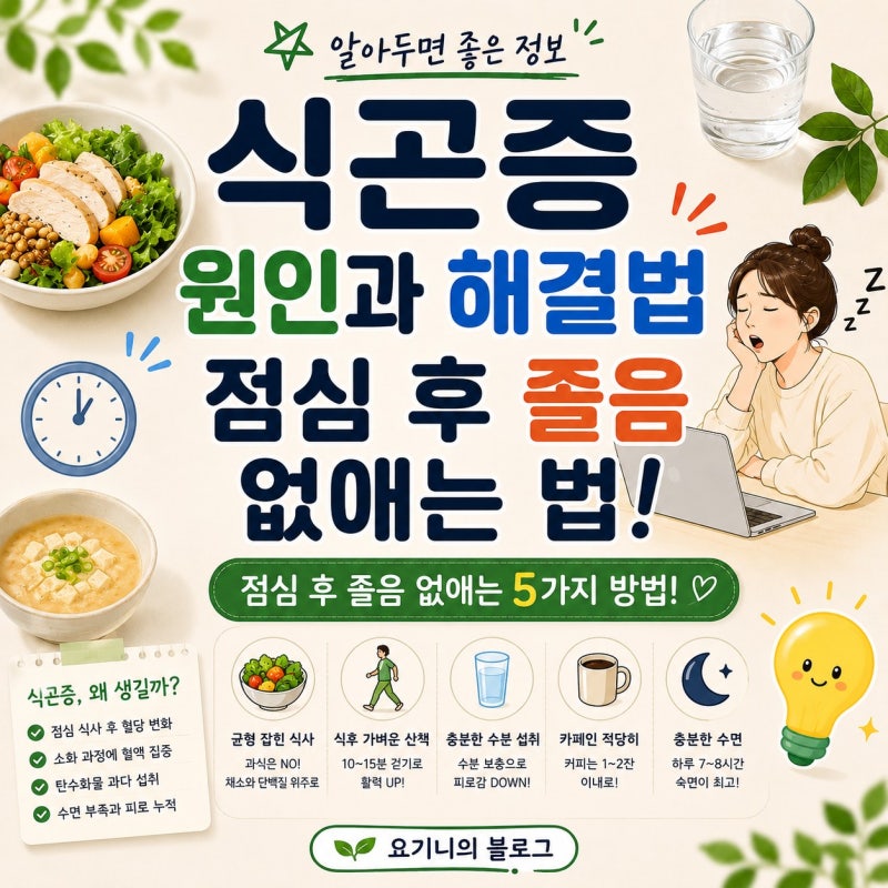 식곤증 원인과 해결법 점심 후 졸음 없애는 법