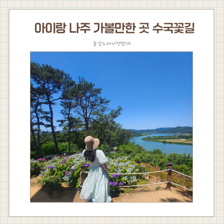  나주 수국 명소 동강 느러지전망대 후기, 주차 꿀팁, 아이와 가볼만한 곳