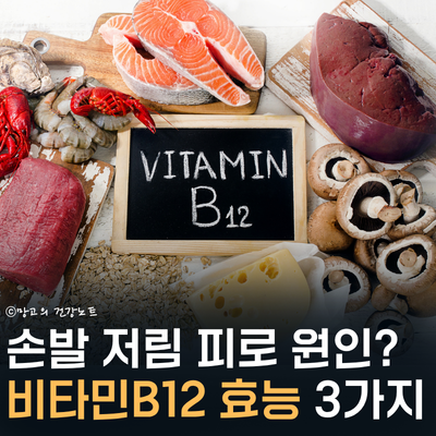 신경 살리는 비타민B12 효능? | 부작용, 복용시간, 권장량