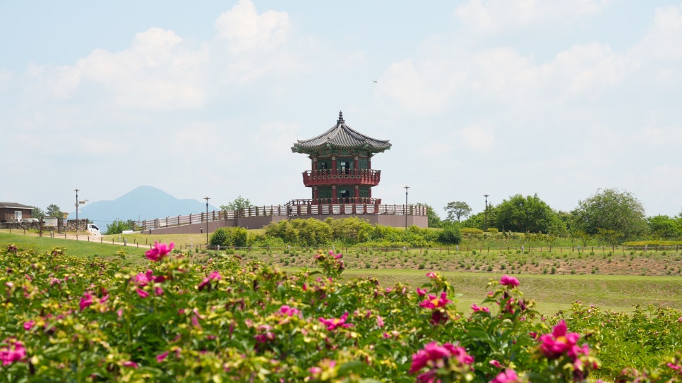 Uiseongjomungukbakmulgwan Gobunjeonsigwan photo 2