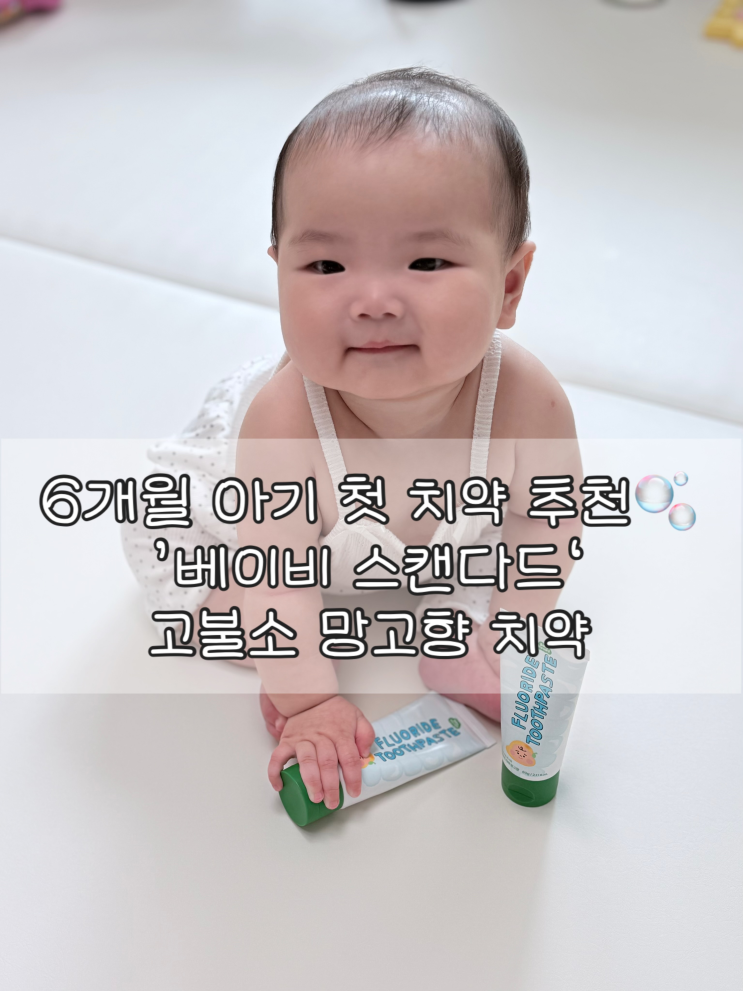 6개월 아기 첫 치약 추천 |'베이비스탠다드' 고불소 아기치약 망고향(1000ppm)