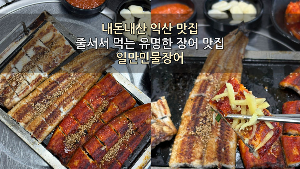 일만민물장어 사진 1