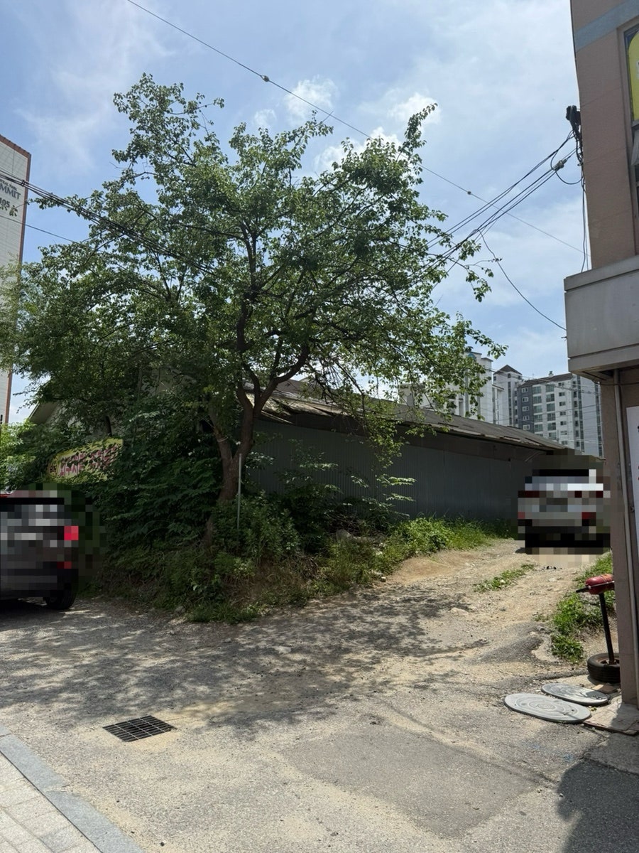사나래 사진 3