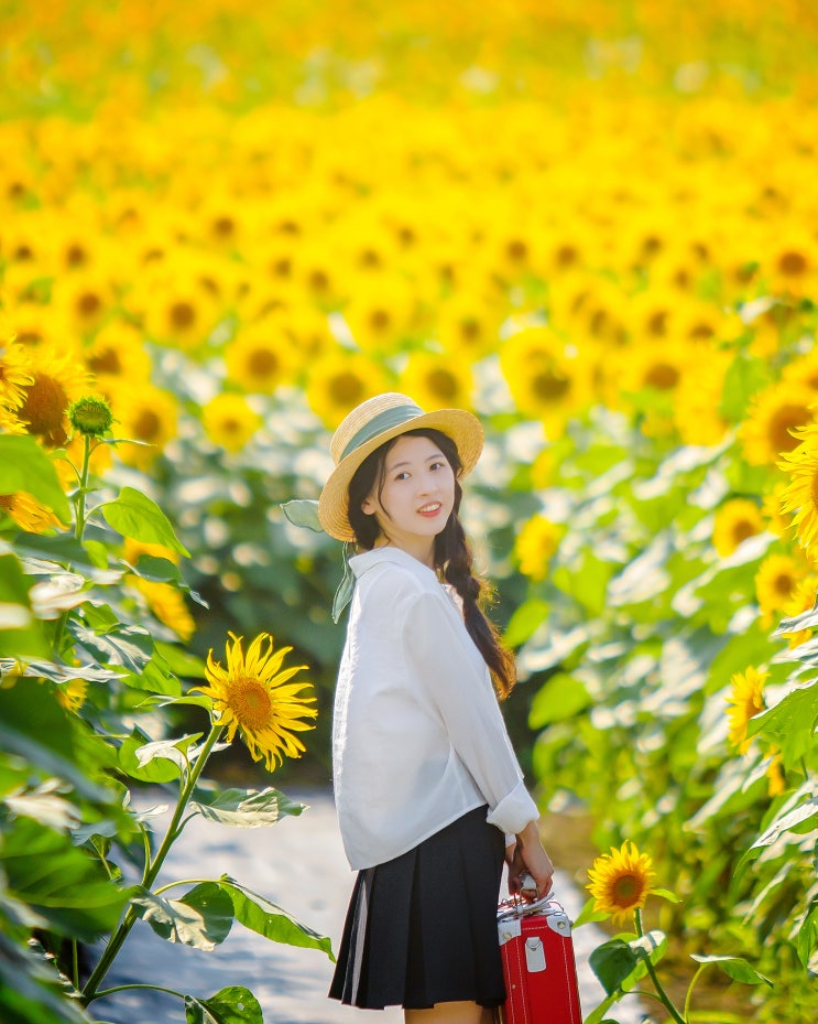  일본 여름 여행 북해도 호쿠류 해바라기 마을 점보미로