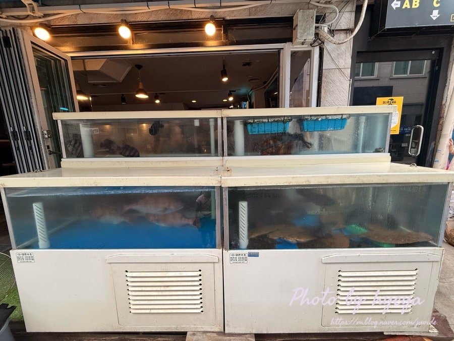 울랄라횟집 사진 3