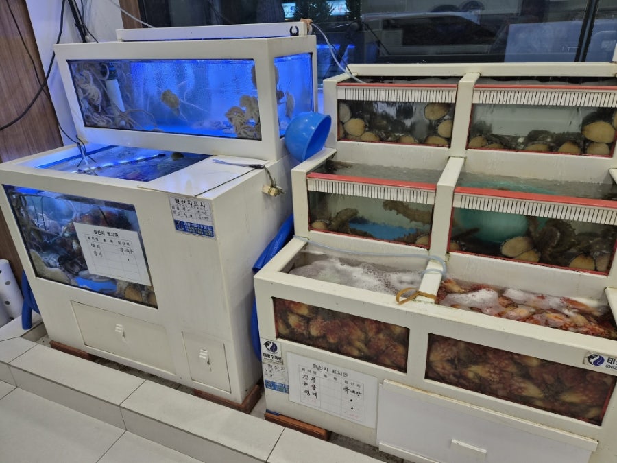 큰마당횟집 사진 2