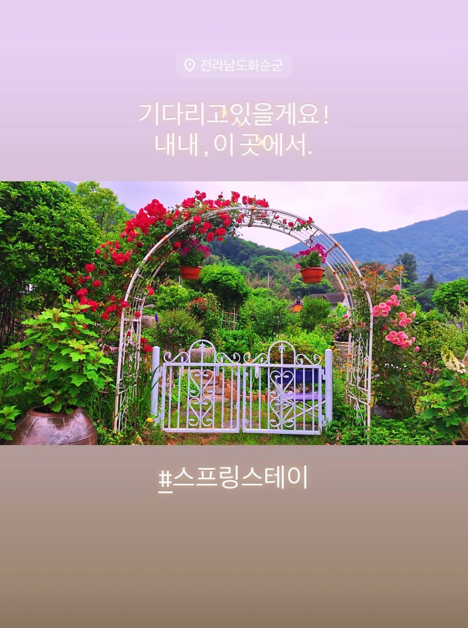 스프링스테이 사진 1