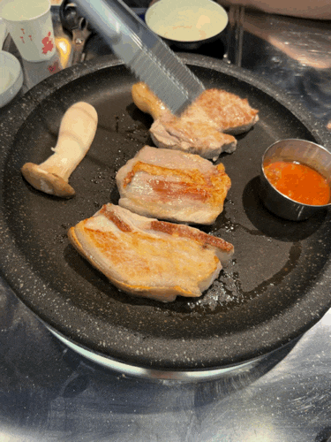 강릉 안목해변 오션뷰 애견동반식당 조개구이맛집 고기맛집 화덕집