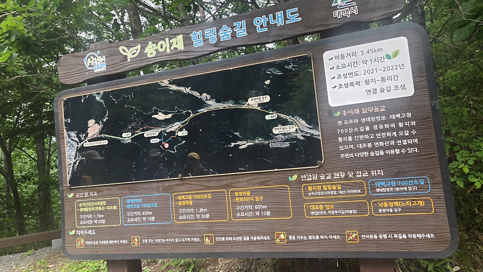 태백고원700 산소길 연화산둘레길 사진 5