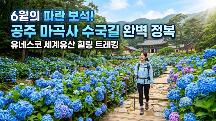  유네스코 세계유산에 피어난 푸른 보석 — 6월 공주 마곡사, 계곡 산수국길 힐링 트레킹 완전 정복