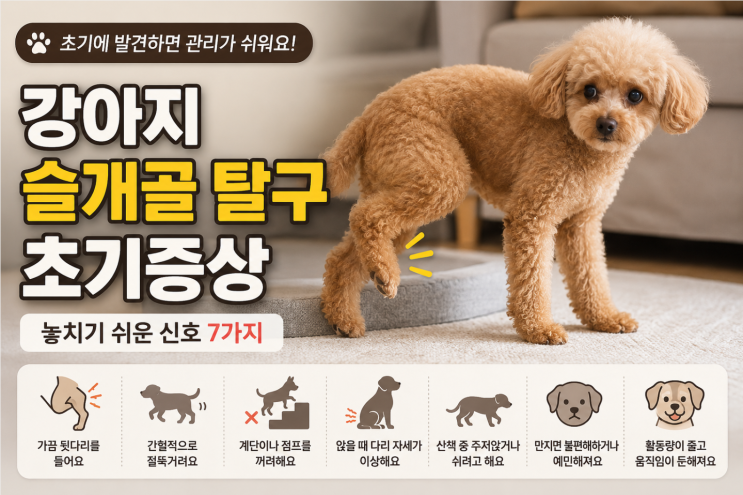  강아지 슬개골탈구 초기증상, 놓치기 쉬운 신호