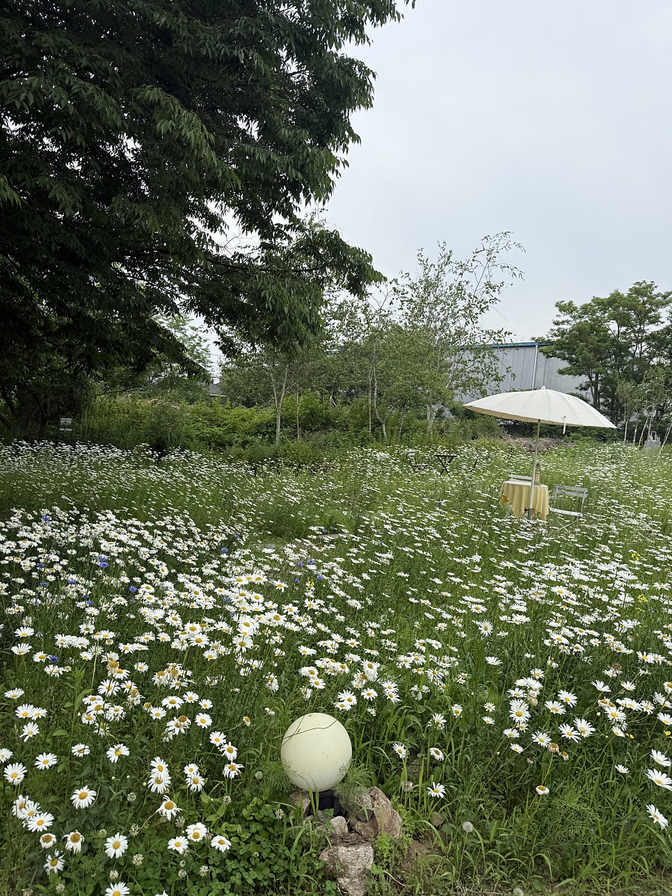 Edengeulraemping photo 4
