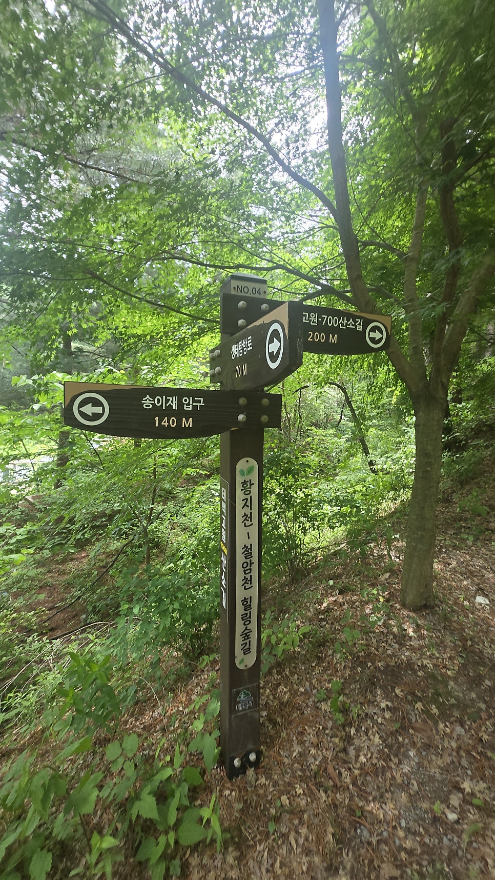 태백고원700 산소길 연화산둘레길 사진 4