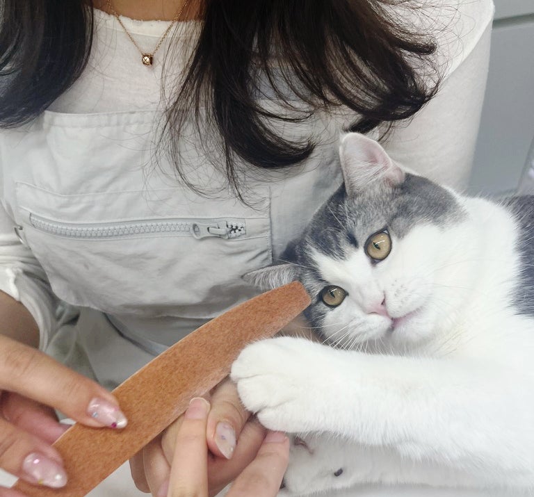 꾸움네일 사진 6