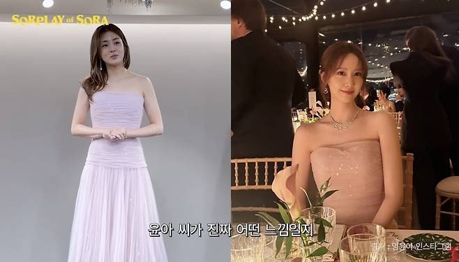 강소라, 윤아·전지현·아이유 가 입은 드레스 정체는?..."같은 드레스 다른 분위기" 화제된 이....