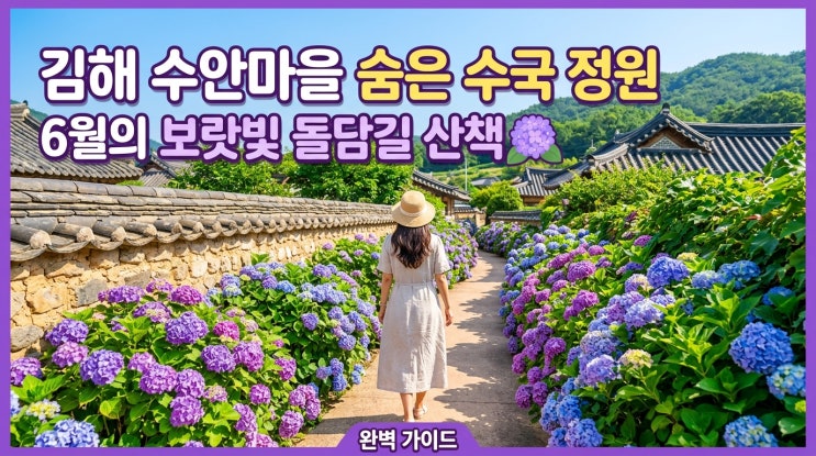  정겨운 돌담길 따라 보랏빛 산책 6월 김해 대동 수안마을 숨은 수국 정원 완벽 방문 가이드