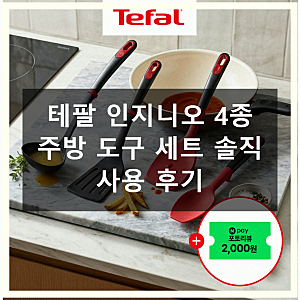 테팔 인지니오 국자 뒤집개 세트 사용기