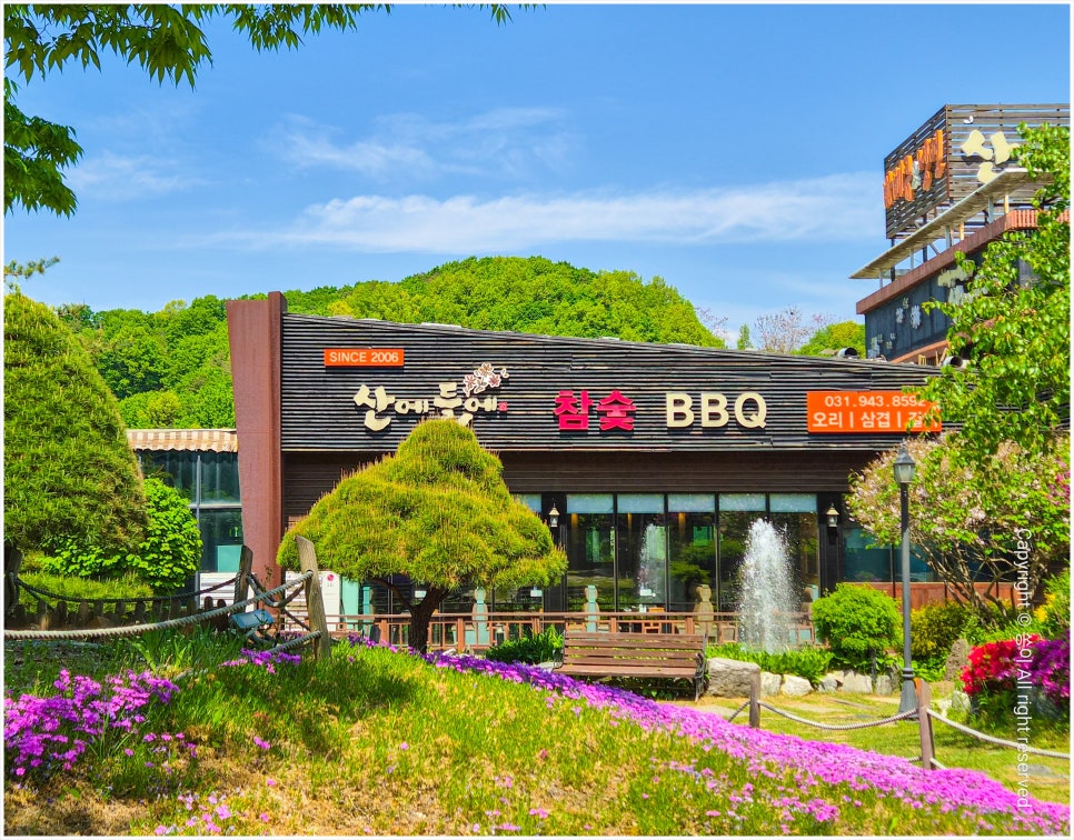 산에들에 사진 3