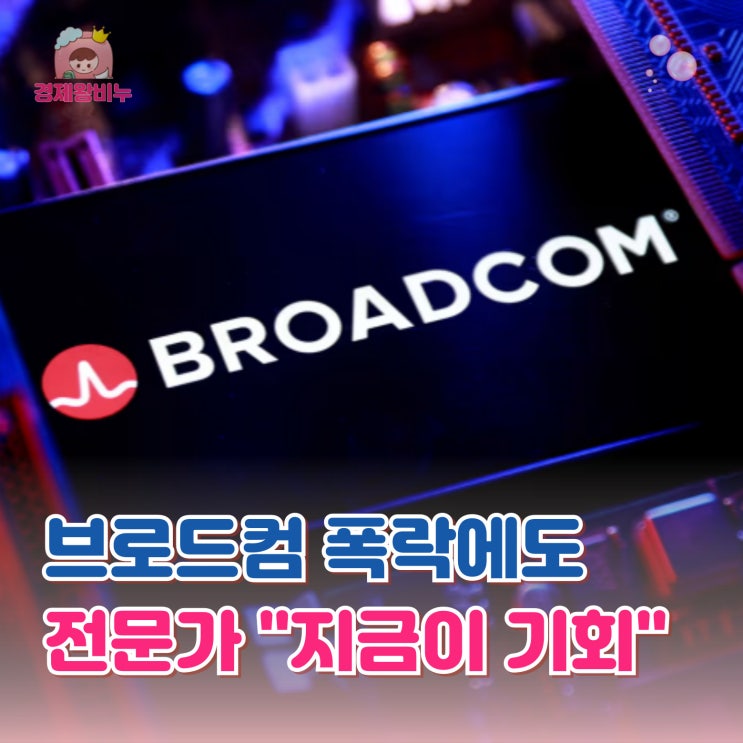<b>브로드컴</b> 주가 12% 폭락에도 전문가 생각은 달랐다