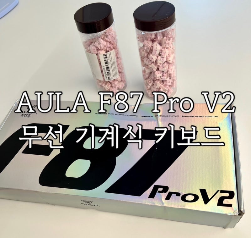 [리뷰] AULA F87 Pro V2 독거미 키보드 (알리에서 유명한 그 키보드)