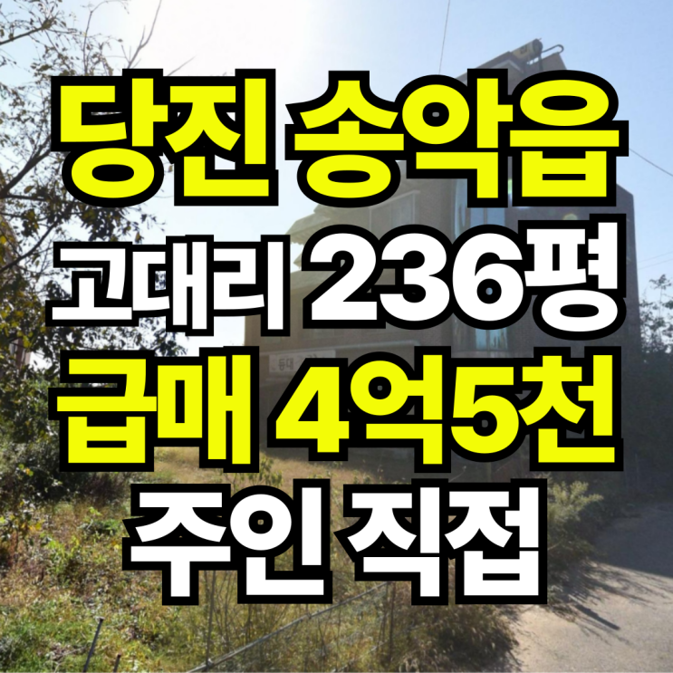  당진시 송악읍 고대리 상가주택 급매! 대지+전 포함 4억5천