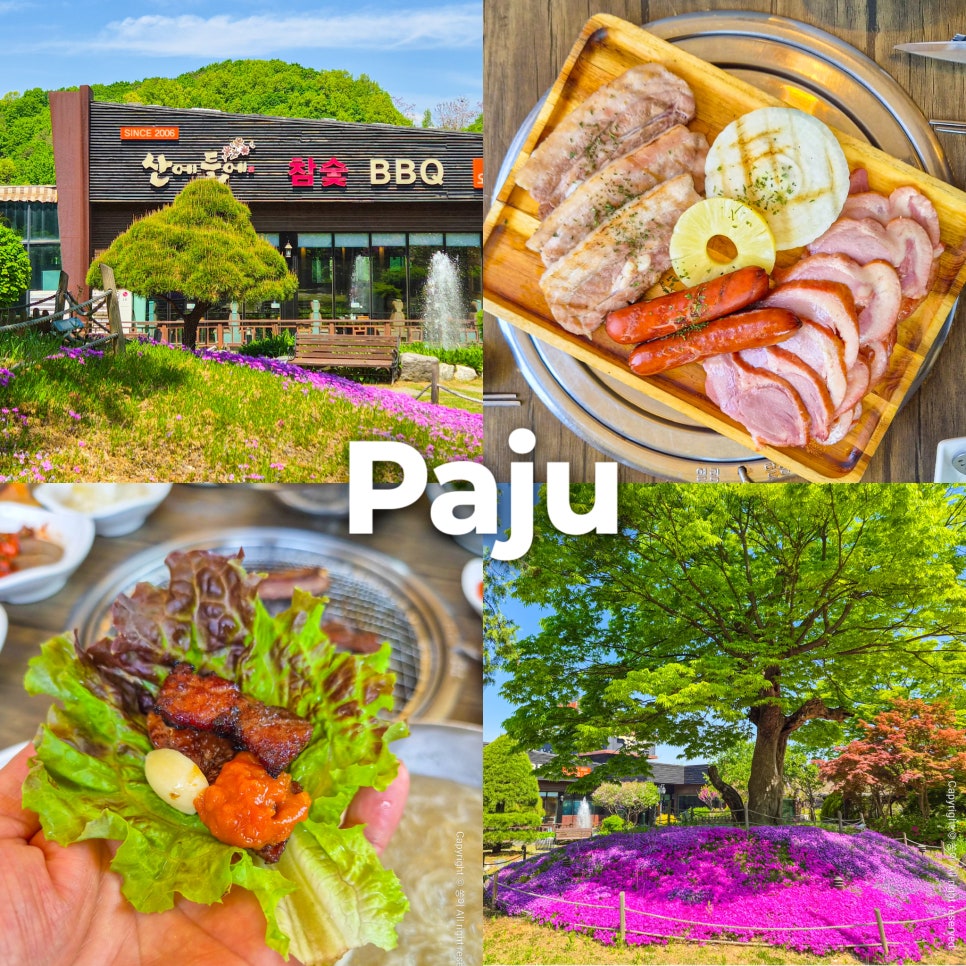 산에들에 사진 1