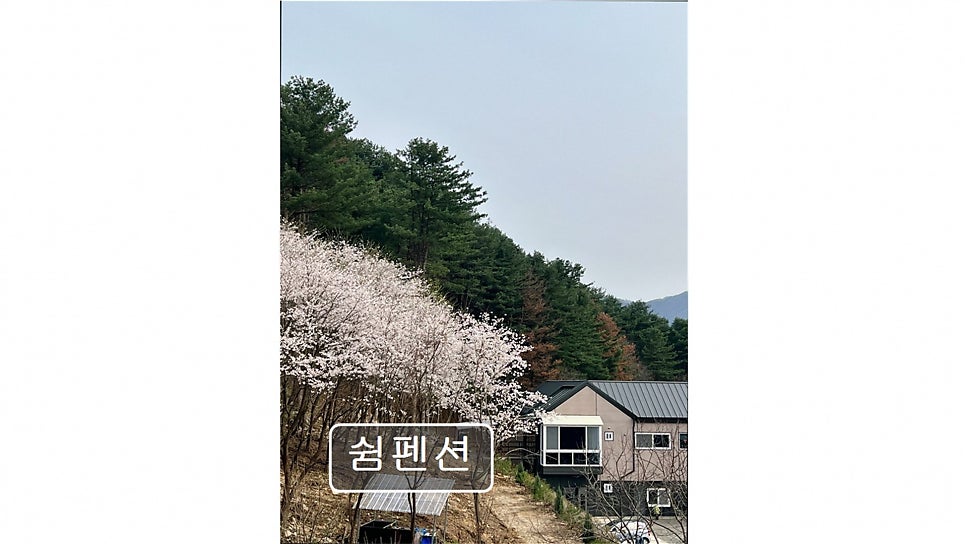 쉼펜션 사진 4