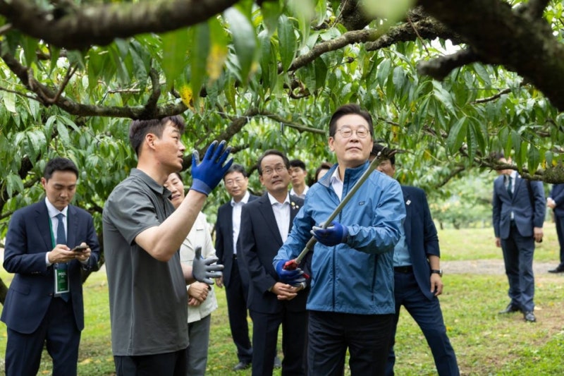 농지은행 임대 완벽 정리 | 위탁 신청부터 중도 해지·매도까지 한 번에
