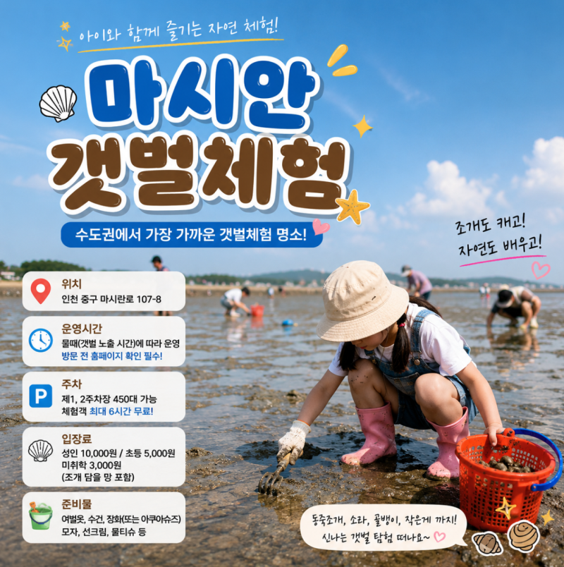 영종도 마시안 갯벌체험 총정리! 주차, 요금, 준비물, 물때 정보까지 총정리,초등체험, 주말....
