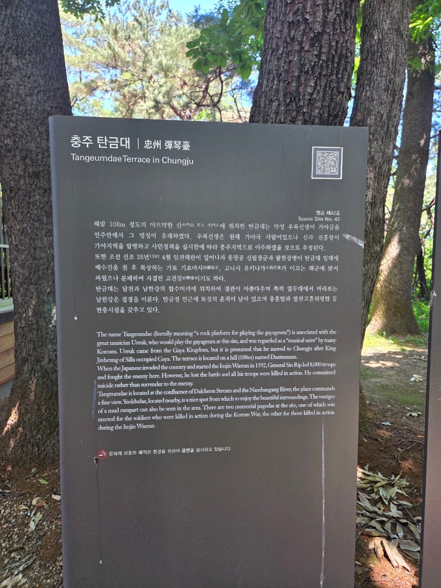 카페탄 사진 4