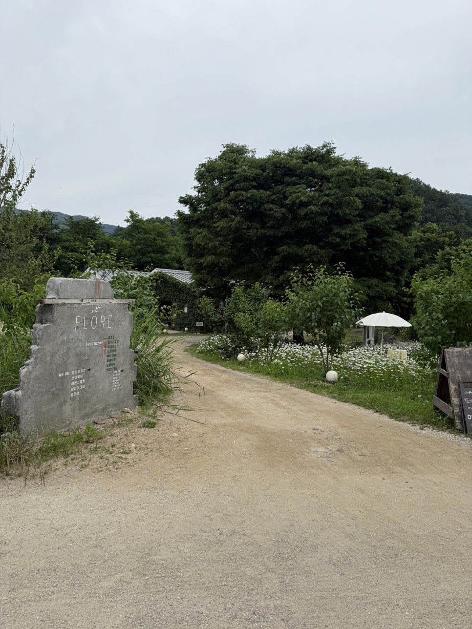 Edengeulraemping photo 2
