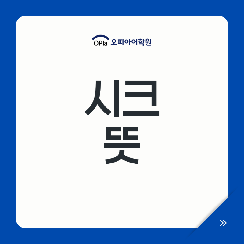 시크 뜻, 세련된 멋진 패션 용어