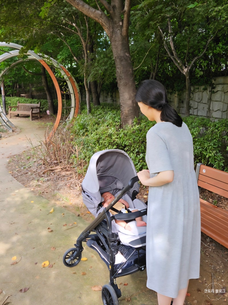 절충형 유모차 잉글레시나 트릴로지 당근 구입기